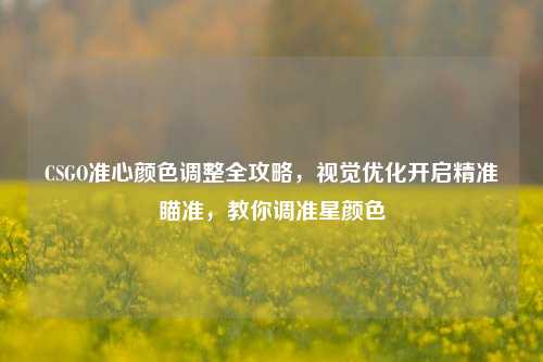 CSGO准心颜色调整全攻略，视觉优化开启精准瞄准，教你调准星颜色