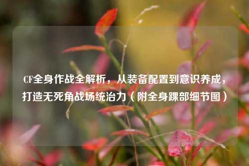 CF全身作战全解析,从装备配置到意识养成,打造无死角战场统治力(附全身踝部细节图)