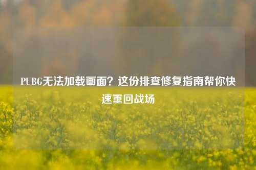 PUBG无法加载画面？这份排查修复指南帮你快速重回战场