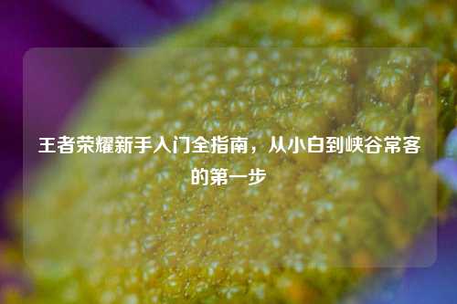 王者荣耀新手入门全指南，从小白到峡谷常客的第一步