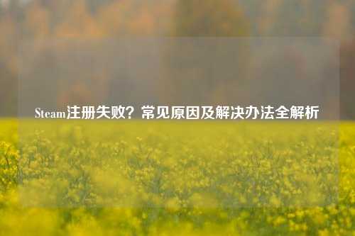 Steam注册失败？常见原因及解决办法全解析