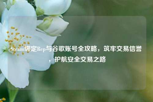 Steam绑定Rep与谷歌账号全攻略,筑牢交易信誉,护航安全交易之路