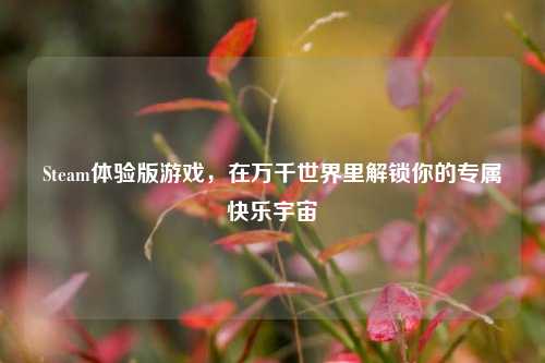 Steam体验版游戏,在万千世界里解锁你的专属快乐宇宙