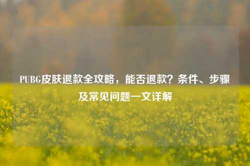 PUBG皮肤退款全攻略，能否退款？条件、步骤及常见问题一文详解