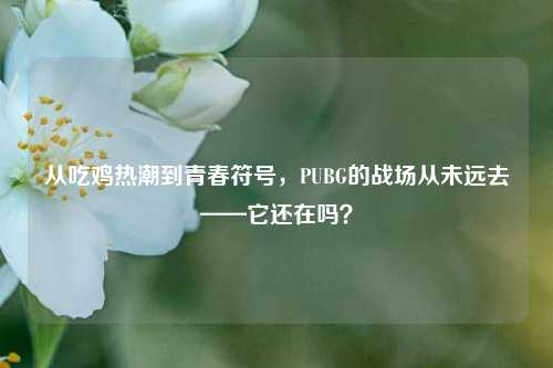 从吃鸡热潮到青春符号,PUBG的战场从未远去——它还在吗?