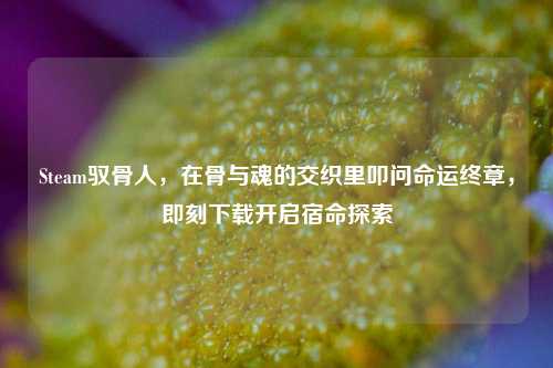Steam驭骨人,在骨与魂的交织里叩问命运终章,即刻下载开启宿命探索