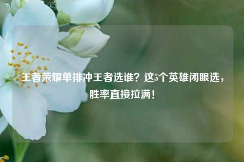 王者荣耀单排冲王者选谁?这5个英雄闭眼选,胜率直接拉满!