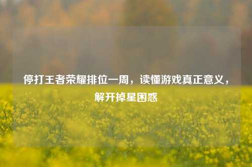 停打王者荣耀排位一周,读懂游戏真正意义,解开掉星困惑