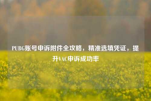 PUBG账号申诉附件全攻略,精准选填凭证,提升VAC申诉成功率