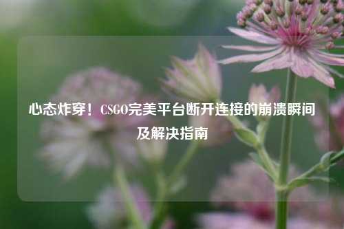 心态炸穿！CSGO完美平台断开连接的崩溃瞬间及解决指南
