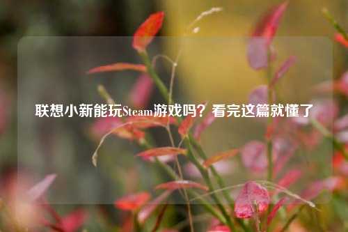 联想小新能玩Steam游戏吗？看完这篇就懂了