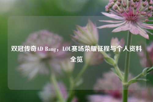 双冠传奇AD Bang,LOL赛场荣耀征程与个人资料全览