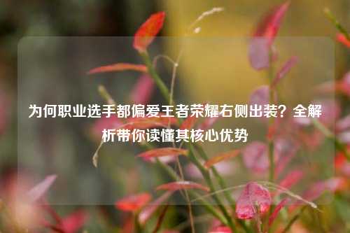 为何职业选手都偏爱王者荣耀右侧出装？全解析带你读懂其核心优势