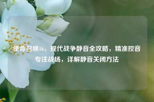 使命召唤16,现代战争静音全攻略,精准控音专注战场,详解静音关闭方法