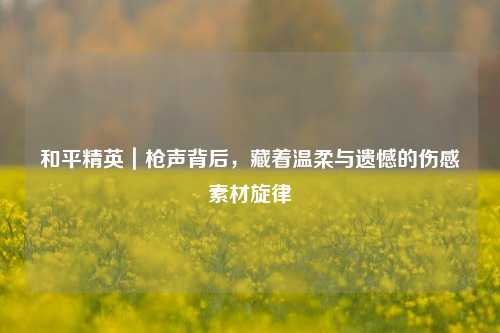 和平精英|枪声背后,藏着温柔与遗憾的伤感素材旋律