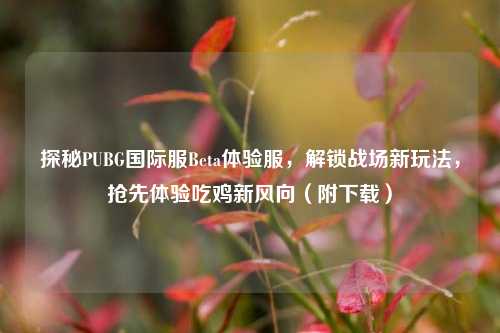 探秘PUBG国际服Beta体验服，解锁战场新玩法，抢先体验吃鸡新风向（附下载）