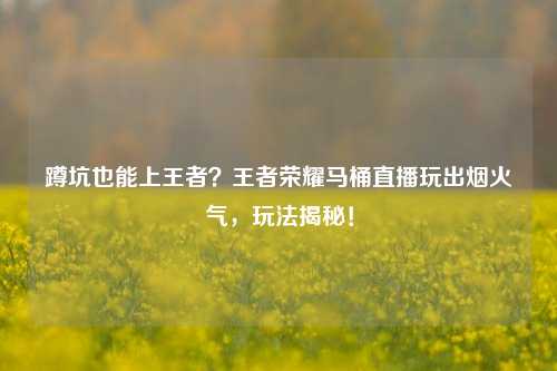 蹲坑也能上王者？王者荣耀马桶直播玩出烟火气，玩法揭秘！