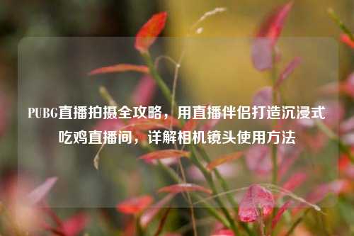 PUBG直播拍摄全攻略,用直播伴侣打造沉浸式吃鸡直播间,详解相机镜头使用方法