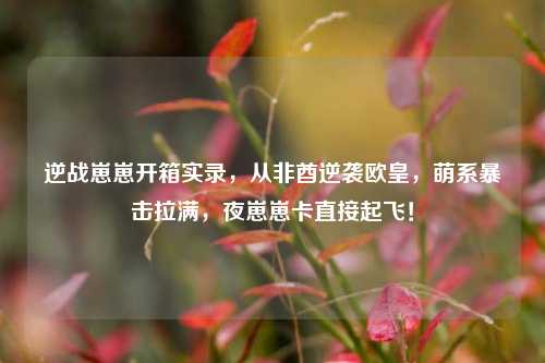 逆战崽崽开箱实录,从非酋逆袭欧皇,萌系暴击拉满,夜崽崽卡直接起飞!