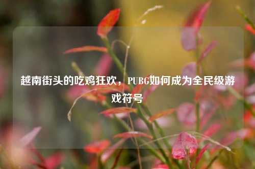 越南街头的吃鸡狂欢,PUBG如何成为全民级游戏符号
