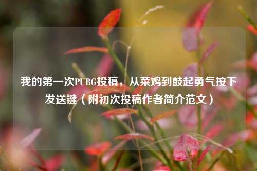 我的第一次PUBG投稿,从菜鸡到鼓起勇气按下发送键(附初次投稿作者简介范文)