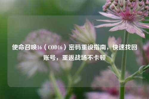 使命召唤16（COD16）密码重设指南，快速找回账号，重返战场不卡顿