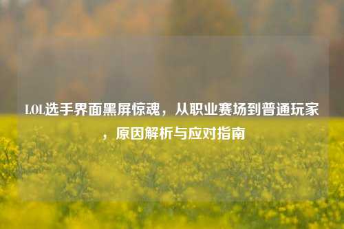 LOL选手界面黑屏惊魂，从职业赛场到普通玩家，原因解析与应对指南