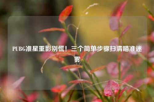 PUBG准星重影别慌!三个简单步骤扫清瞄准迷雾