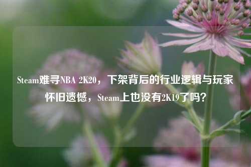 Steam难寻NBA 2K20,下架背后的行业逻辑与玩家怀旧遗憾,Steam上也没有2K19了吗?