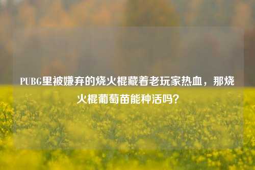 PUBG里被嫌弃的烧火棍藏着老玩家热血,那烧火棍葡萄苗能种活吗?