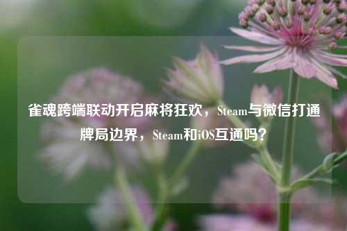 雀魂跨端联动开启麻将狂欢,Steam与微信打通牌局边界,Steam和iOS互通吗?