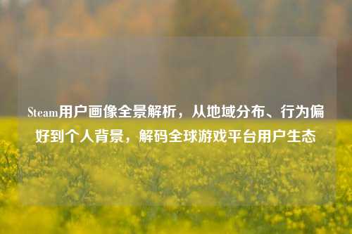 Steam用户画像全景解析,从地域分布、行为偏好到个人背景,解码全球游戏平台用户生态