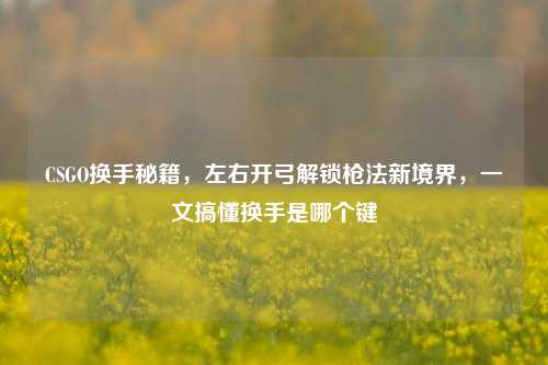 CSGO换手秘籍,左右开弓解锁枪法新境界,一文搞懂换手是哪个键
