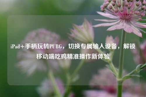 iPad+手柄玩转PUBG，切换专属输入设备，解锁移动端吃鸡精准操作新体验