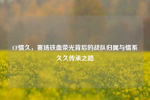 CF情久,赛场铁血荣光背后的战队归属与情系久久传承之路