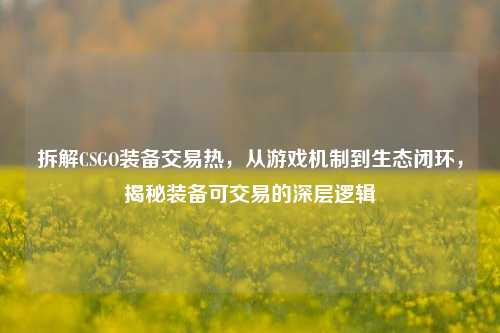 拆解CSGO装备交易热,从游戏机制到生态闭环,揭秘装备可交易的深层逻辑