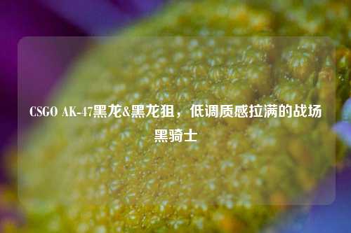CSGO AK-47黑龙&黑龙狙,低调质感拉满的战场黑骑士
