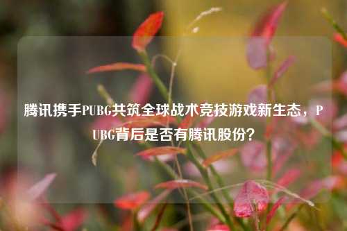 腾讯携手PUBG共筑全球战术竞技游戏新生态,PUBG背后是否有腾讯股份?