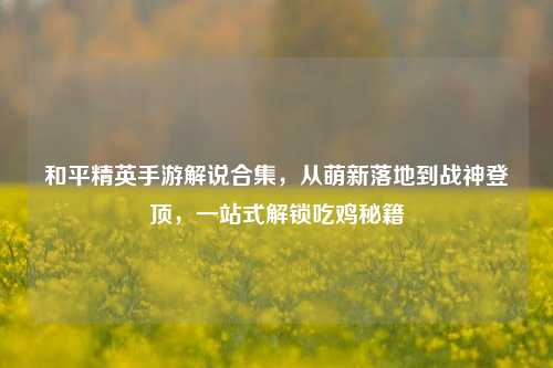 和平精英手游解说合集,从萌新落地到战神登顶,一站式解锁吃鸡秘籍