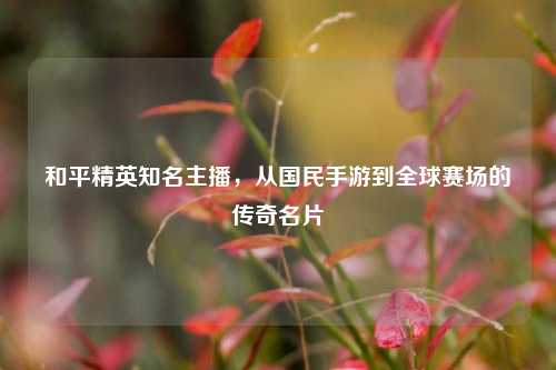 和平精英知名主播,从国民手游到全球赛场的传奇名片