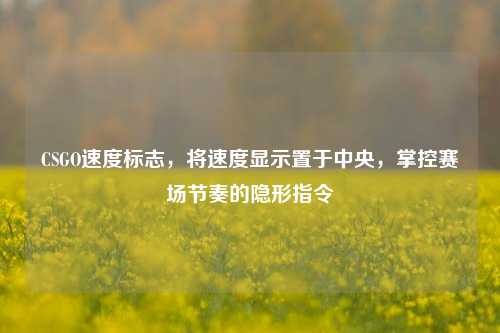 CSGO速度标志，将速度显示置于中央，掌控赛场节奏的隐形指令
