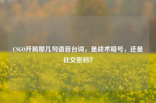 CSGO开局那几句语音台词,是战术暗号,还是社交密码?