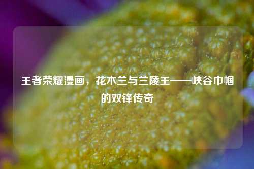 王者荣耀漫画,花木兰与兰陵王——峡谷巾帼的双锋传奇