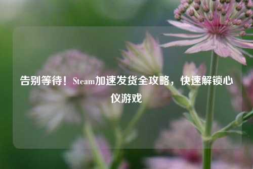 告别等待!Steam加速发货全攻略,快速解锁心仪游戏