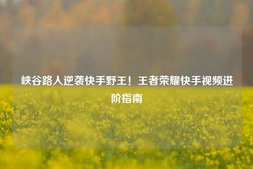 峡谷路人逆袭快手野王!王者荣耀快手视频进阶指南