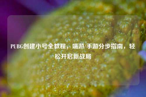 PUBG创建小号全教程,端游/手游分步指南,轻松开启新战局