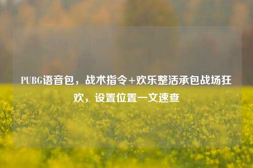 PUBG语音包,战术指令+欢乐整活承包战场狂欢,设置位置一文速查