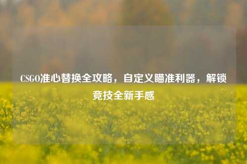 CSGO准心替换全攻略,自定义瞄准利器,解锁竞技全新手感