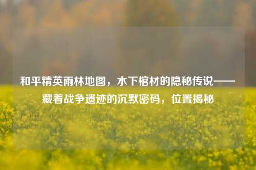 和平精英雨林地图，水下棺材的隐秘传说——藏着战争遗迹的沉默密码，位置揭秘