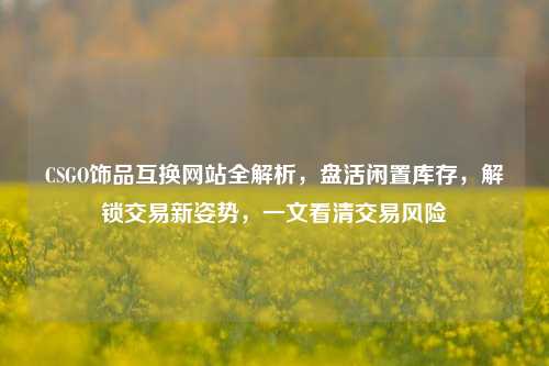 CSGO饰品互换网站全解析，盘活闲置库存，解锁交易新姿势，一文看清交易风险